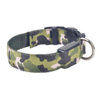 Light-Up Nylon Dog Collar with Three Glow Modes