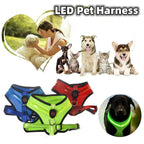 Rechargeable LED Dog Harness with Breathable Mesh