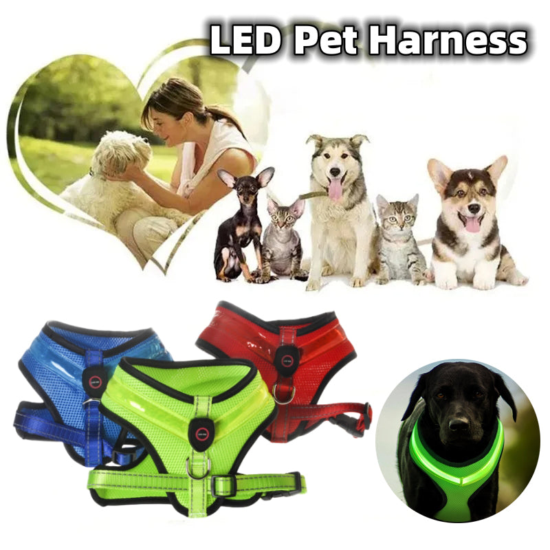Rechargeable LED Dog Harness with Breathable Mesh