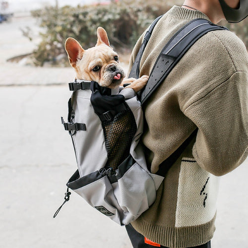 Dog Carrier Backpack for Travel and Outings