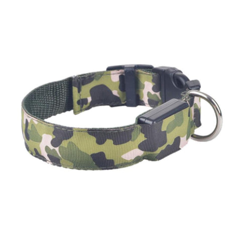 Light-Up Nylon Dog Collar with Three Glow Modes