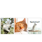 Window-Mounted Cat Hammock with Suction Cups