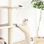 Electronic Interactive Motion Cat Toy