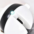 Electronic Interactive Motion Cat Toy