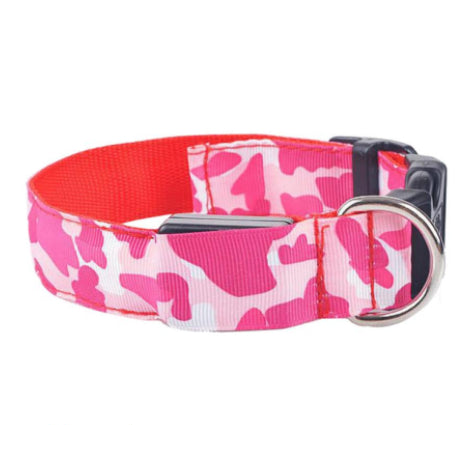 Light-Up Nylon Dog Collar with Three Glow Modes