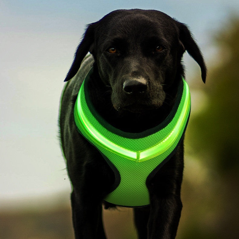 Rechargeable LED Dog Harness with Breathable Mesh